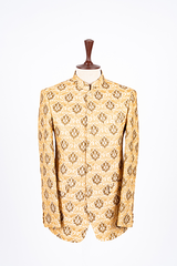 Golden Prince Coat